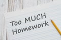 Too much Homework message on ruled lined paper with pencil for school