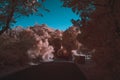 Surreal path in infrared colors