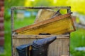 A tool of the beekeeper. Everything for a beekeeper to work with bees. Smoker, a number, a box Royalty Free Stock Photo