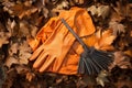 Tool cleaning autumn fall leaves seasonal Royalty Free Stock Photo
