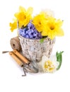 Tool for floriculture and flower in wicker basket