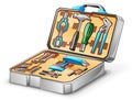 Tool kit Royalty Free Stock Photo