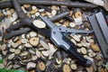 Tool lopper metal on a background of cut pieces of branches of a tree. Garden tools, technologies, industry