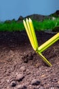 Tool for manual tillage on a field background