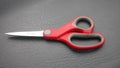 scissors Royalty Free Stock Photo