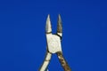 A tool from part one old gray iron nipper Royalty Free Stock Photo