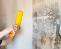 Tool, roller for smoothing wallpaper yellow. Paint roller with a red handle and a yellow smooth nozzle on a light background.