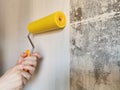 Tool, roller for smoothing wallpaper yellow. Paint roller with a red handle and a yellow smooth nozzle on a light background.