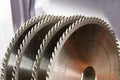 Carbide tipped saw blades for cutting hard wood Royalty Free Stock Photo