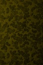 Tooled floral pattern  leather texture Royalty Free Stock Photo