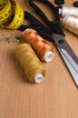 Tools and accessories for sewing. Sewing thread, scissors, pins Royalty Free Stock Photo