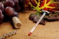 Tools for enology