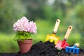Tools garden soil and hydrangea flower in flower pot over natur Royalty Free Stock Photo