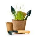 Tools for gardening: peat pot with seedlings, shovel and rake, isolated