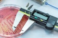 The Tools for measuring zone size of bacteria as sub sensitivity