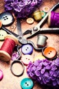Tools for needlework and lilac branch Royalty Free Stock Photo