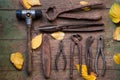 Tools of rural life on the wooden floor. scissors, pliers, pliers, hammer, wire cutters