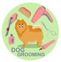 Tools used in beauty salon for animals. Dog grooming salon poster