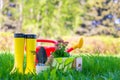 Tools for working in the garden, objects for spring work Royalty Free Stock Photo