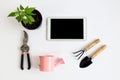 Tools for working in the garden, pepper seedlings, twine, tablet on a light background, top view-the concept of online training in