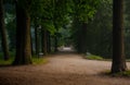 ToomemÃÂ¤gi park during summertime