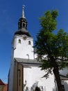 Toomkirik, the Dome cathedral, Tallinn Royalty Free Stock Photo