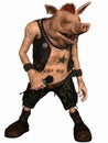 Toon Pig - Punk