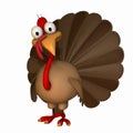 Toon Thanksgiving Turkey Royalty Free Stock Photo