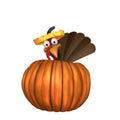 Toon Turkey in Pumpkin