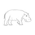 Hippopotamus vector illustration with simple hand drawn doodle design