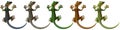 Toonimal Gecko Royalty Free Stock Photo