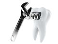 Tooth with adjustable wrench