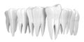 Tooth banner isolated on white background. Healthy teeth icon 3d illustration of white enamel and root. Dentistry health