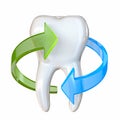 Tooth with blue and green arrows on white 3D Royalty Free Stock Photo
