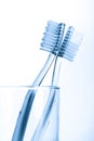 Tooth brush in glass Isolated on white background Royalty Free Stock Photo