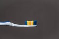 tooth brush isolated on a gray background