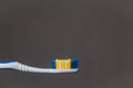 tooth brush isolated on a gray background