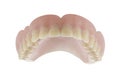 False teeth in white background Royalty Free Stock Photo