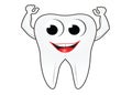 Tooth cartoon character smiling and posing