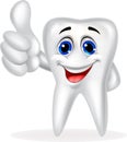 Tooth cartoon with thumb up