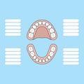Tooth Chart Primary teeth Blank illustration vector on blue back