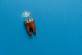 Tooth from chocolate with sugar on blue paper background. Top view. Copy space. Healthy teeth or dental care concept Royalty Free Stock Photo