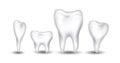 Tooth collection for you design