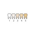 tooth color level vector illustration