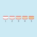 tooth color level vector illustration