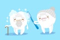 Tooth couple with tooth brush