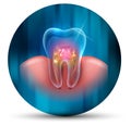Tooth cross section icon