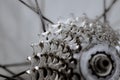 Tooth crown gear transmission on a real bicycle wheel