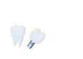 Tooth Crown and Tooth Implant isolated