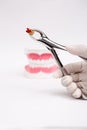 Tooth dental extraction